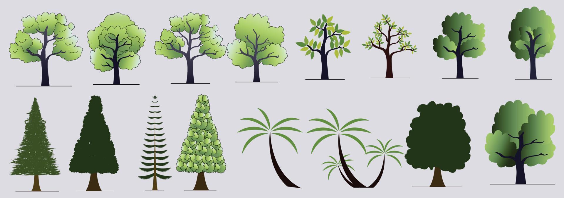 Collection of realistic trees isolated on white background. Suitable for a beautiful, architectural use. Used with both natural articles in design, decorative work, print and website. vector