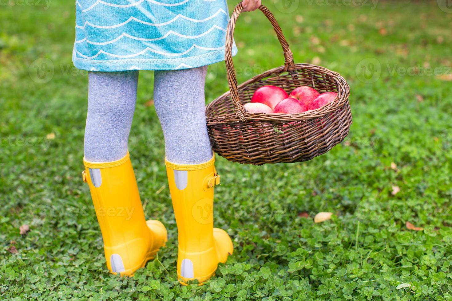 Basket with red apples and yellow rubber boots on little girl photo