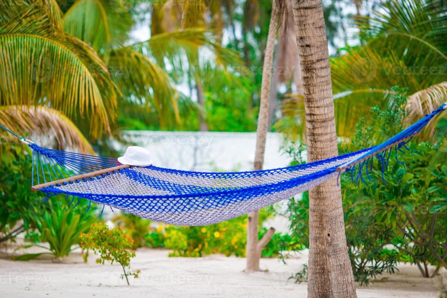 Empty hammock between palm trees on tropical beach photo