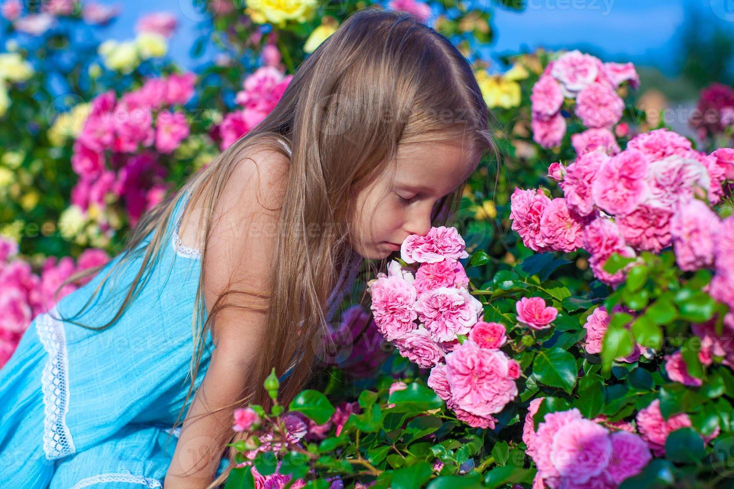 Little adorable girl smelling colorful flowers at summer day photo