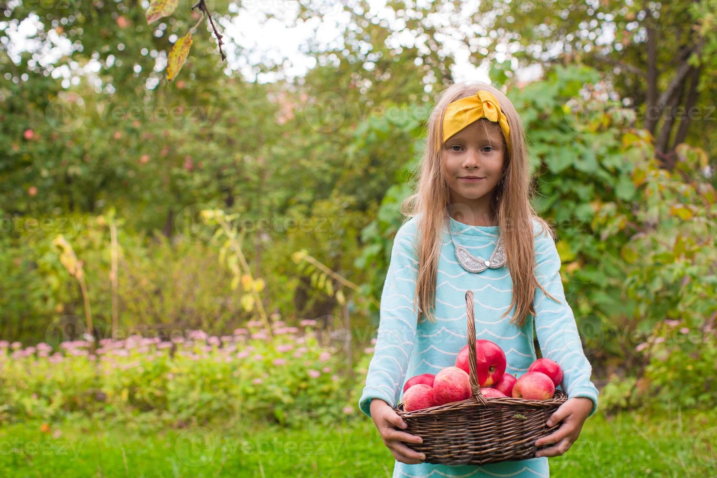 Little girl with basket of apples in sunny autumn day photo