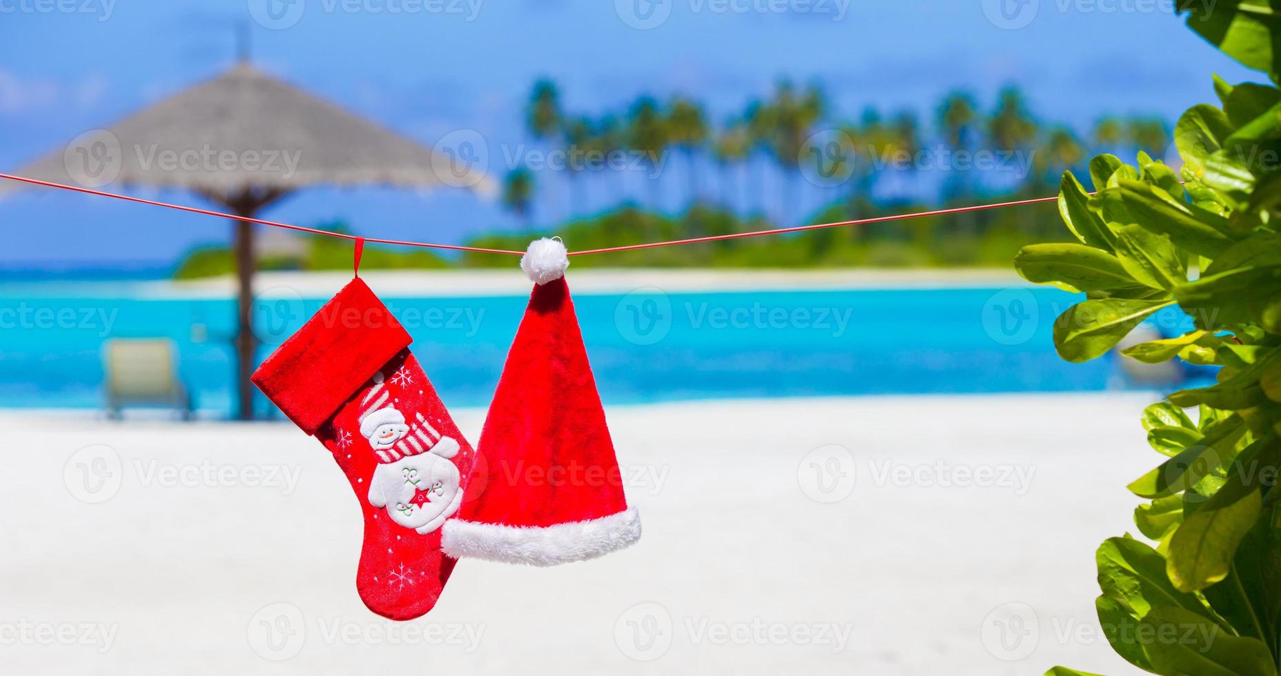 Red Santa hat and Christmas stocking between palm trees photo