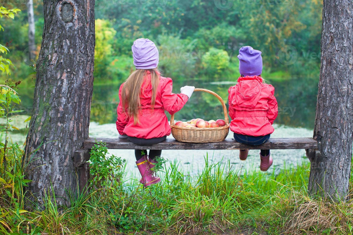 Rear view of two little sisters on bench with basket of red apples near the lake photo
