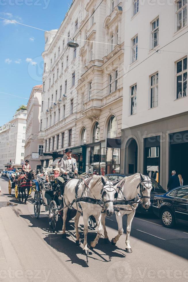 entrenador de caballos tradicional fiaker en Viena, Austria foto