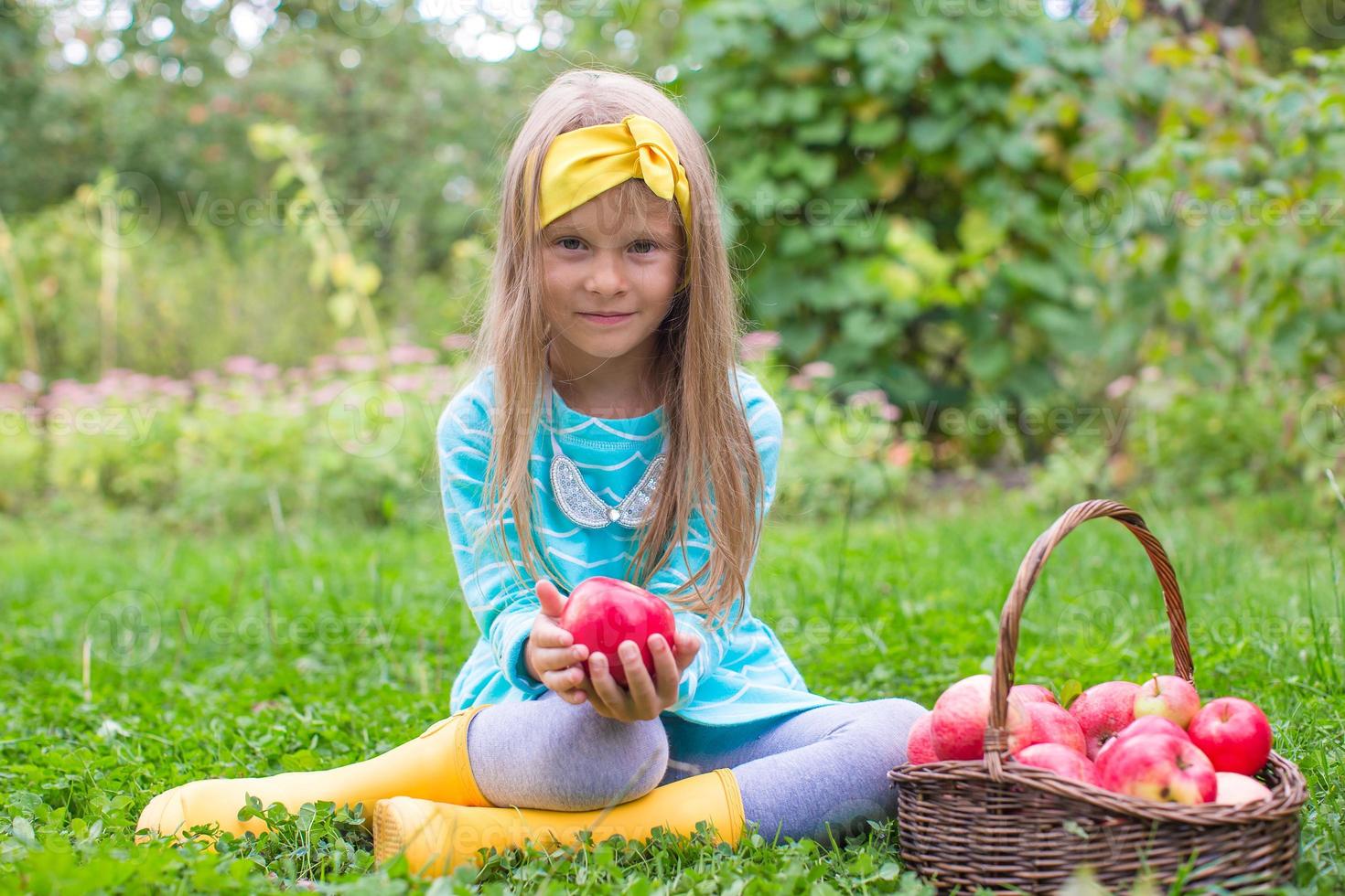 Little adorable girl with basket of apples in sunny autumn day photo
