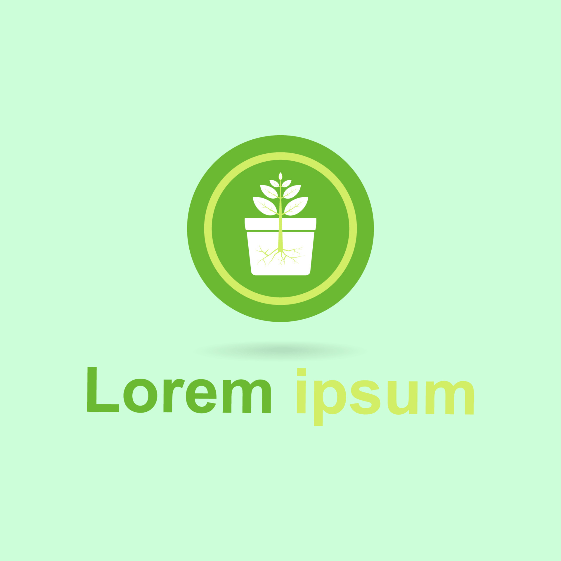 What Can I Use Instead of Plant Pots? 10 Creative Alternatives