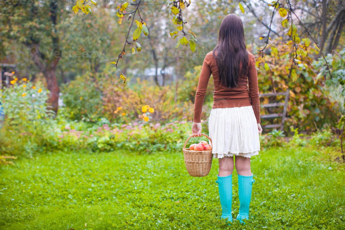 Rear view of Young woman in rubber boots holding the straw basket with red apples at autumn time photo