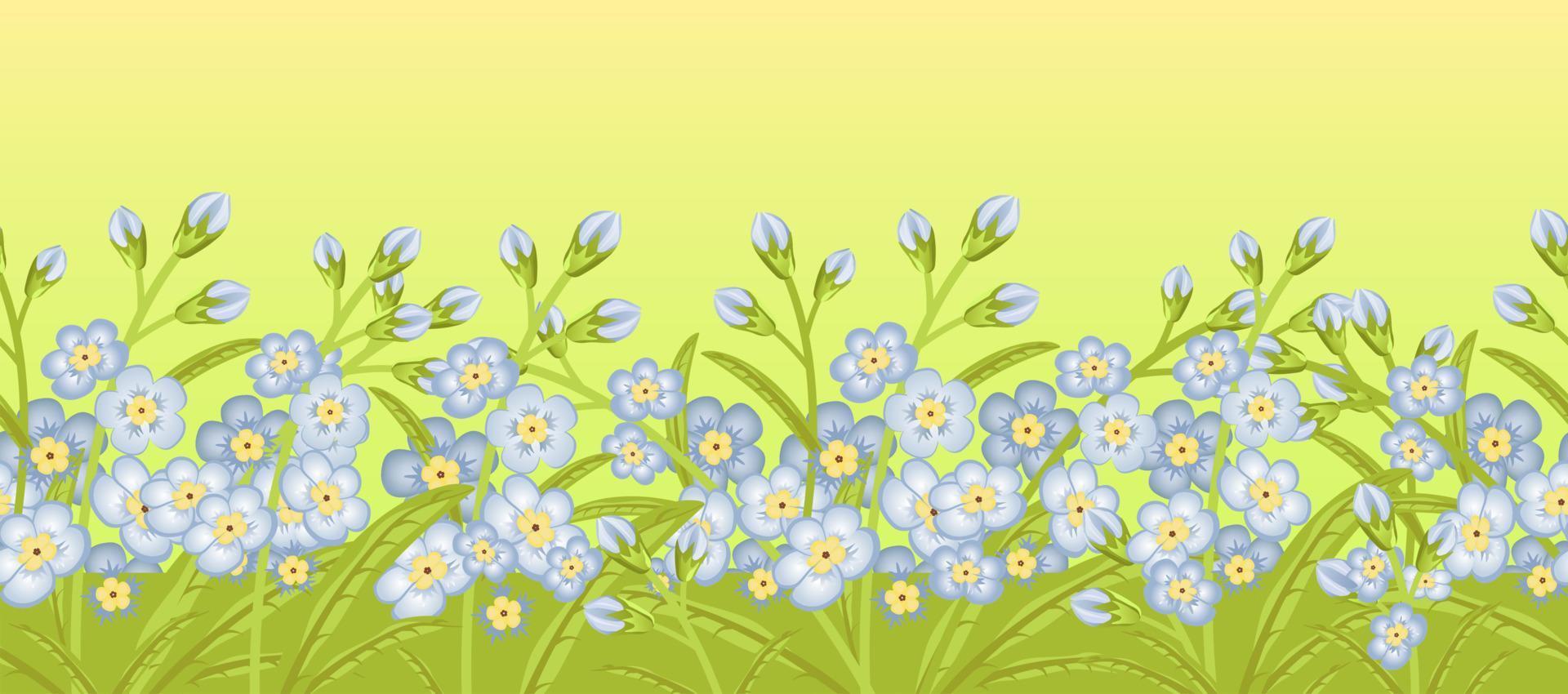 Seamless border with flowers forget me not. vector