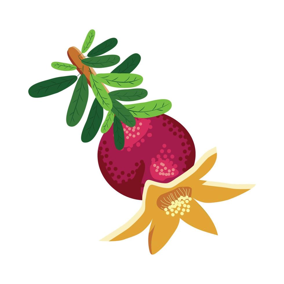 Pomegranate branches with fruits and flowers. Symbol of good luck, eternal life, love, fertility, abundance. Symbol of Israel and Azerbaijan vector