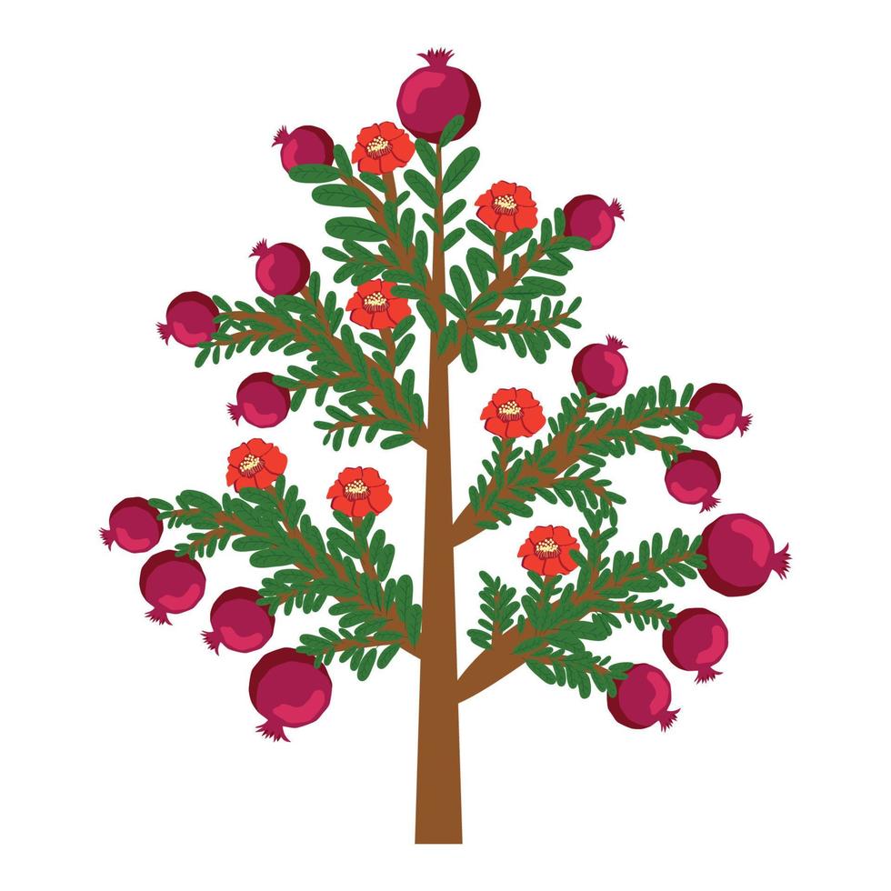 Pomegranate tree with fruits and flowers. Symbol of good luck, eternal life, love, fertility, abundance. Symbol of Israel vector