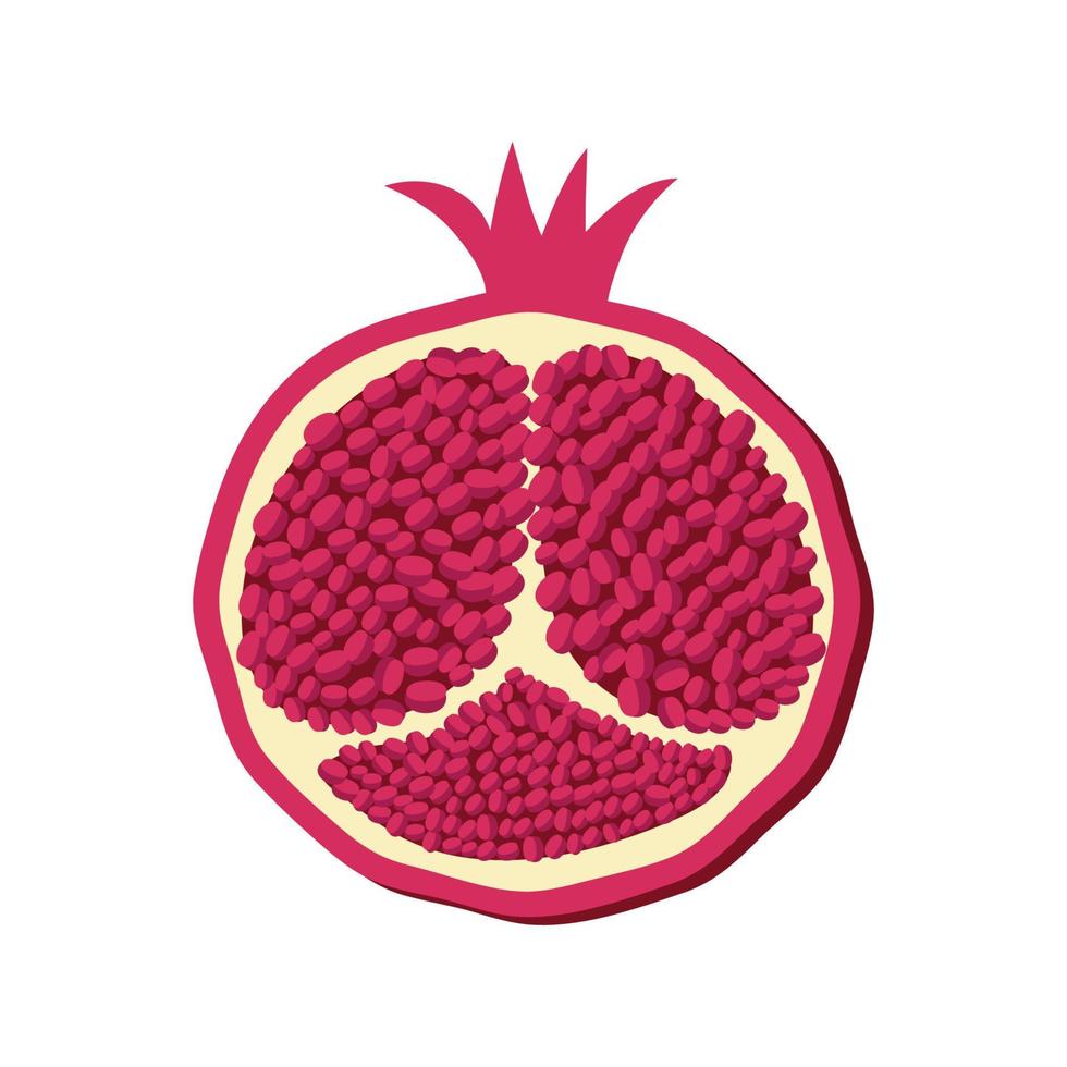 Pomegranate whole and pieces, cut with seeds. Stylized juicy fruit vector