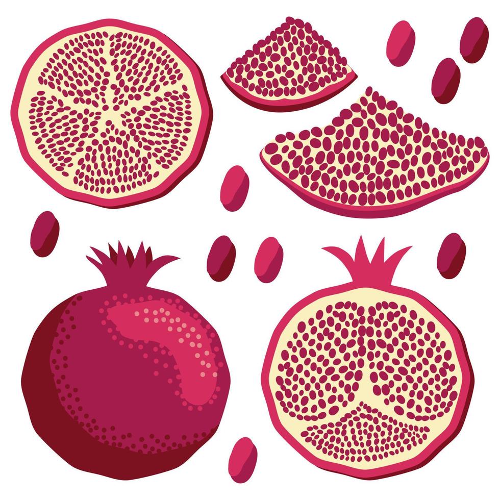 Set pomegranate fruit segment. Fruits collection isolated on white vector