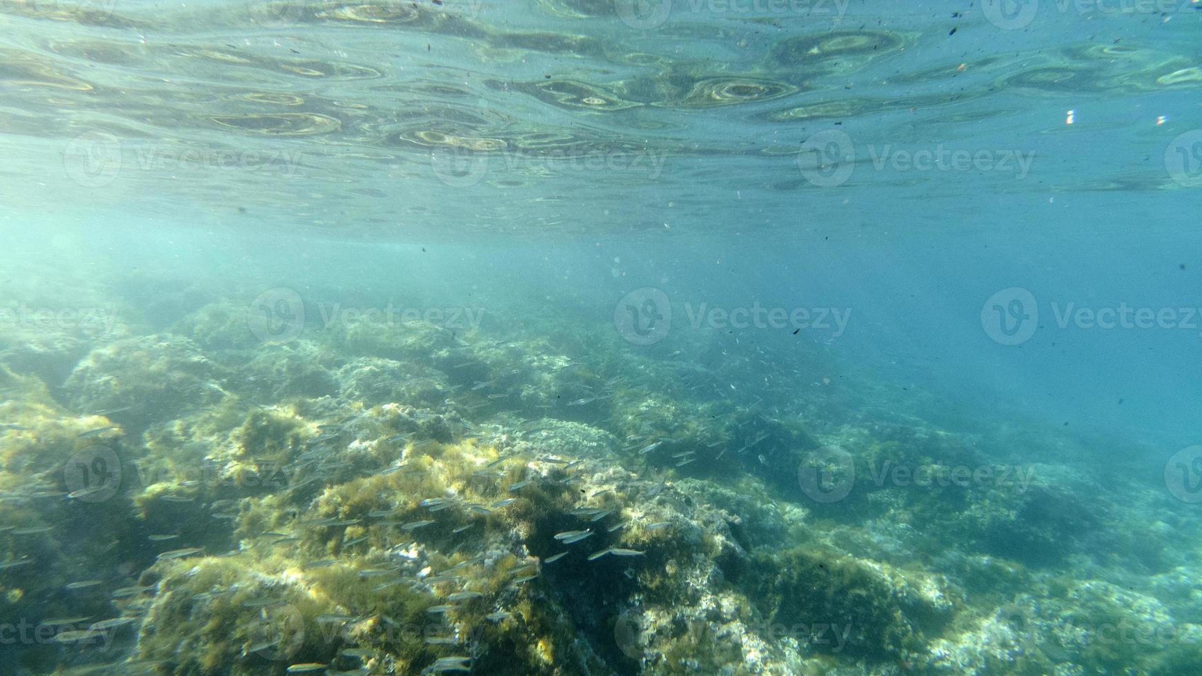 fondo de arena nadando bajo el agua en la laguna turquesa foto