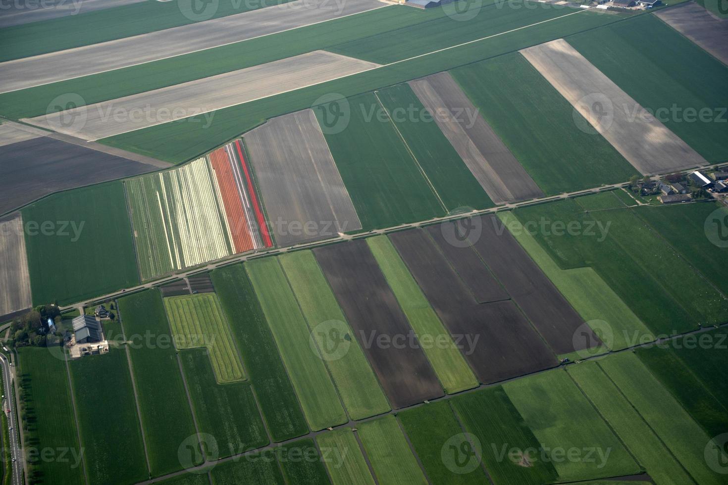 tulip fields holland aerial view from airplane photo