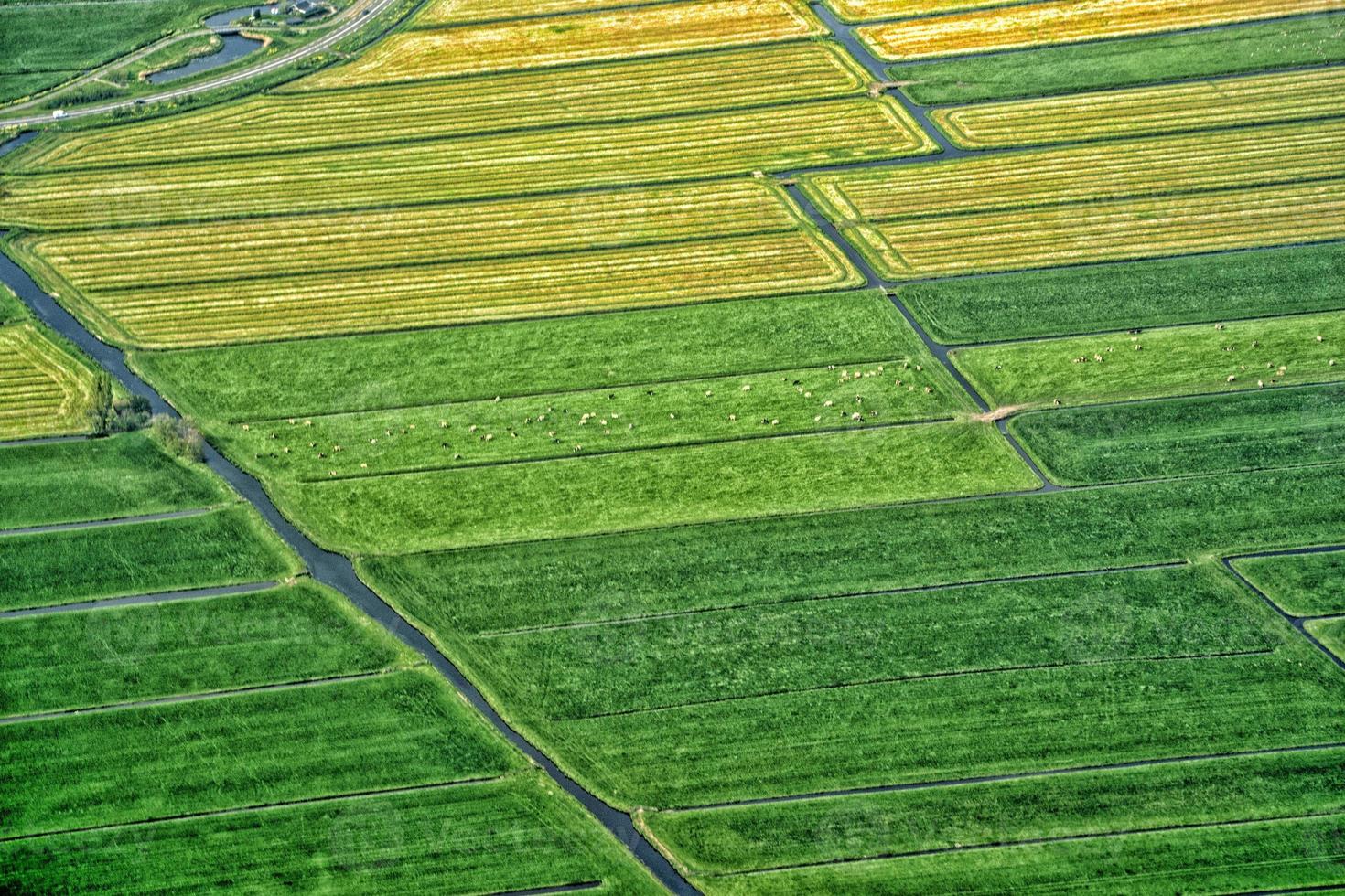 holland farmed fields aerial view photo