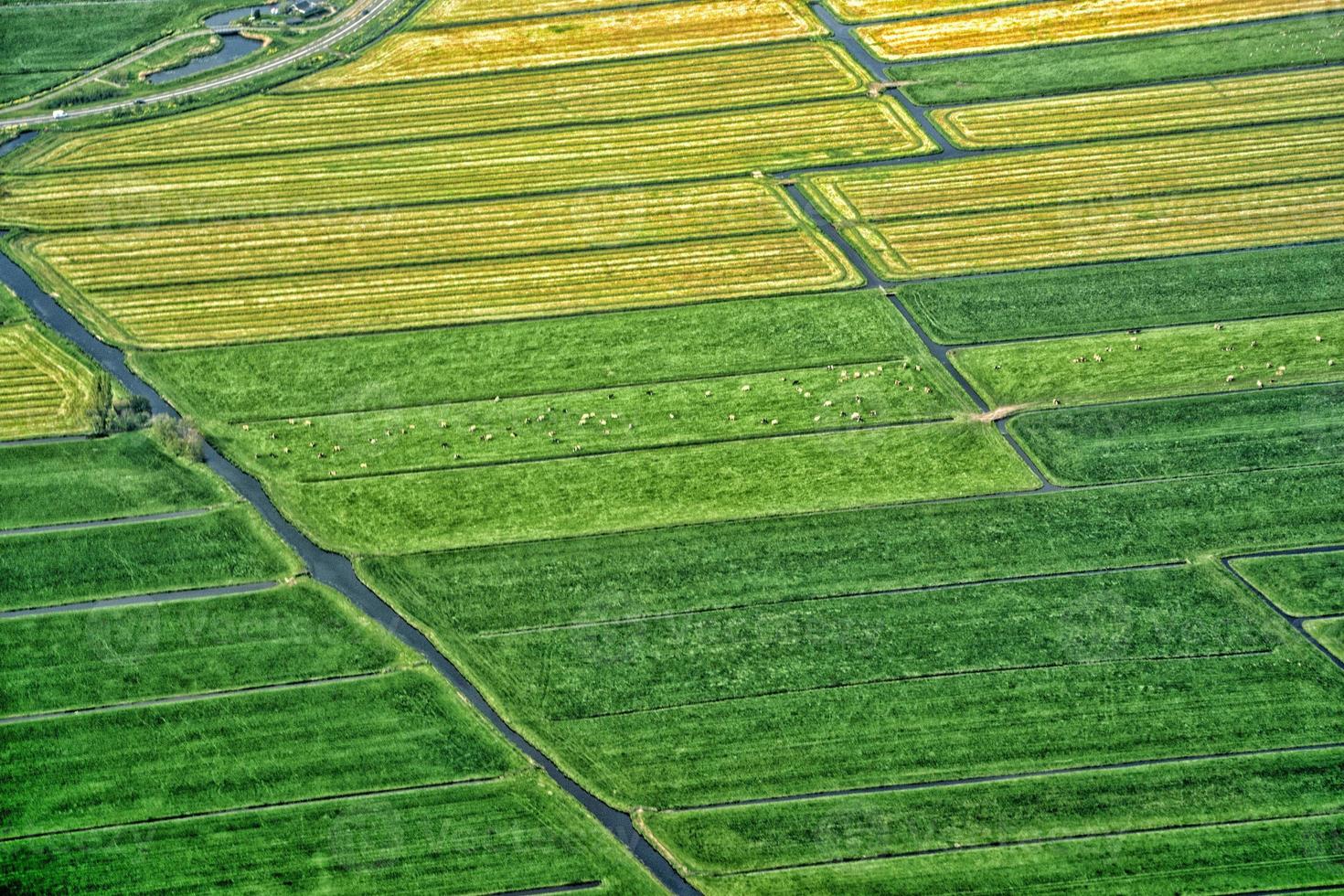 holland farmed fields aerial view photo