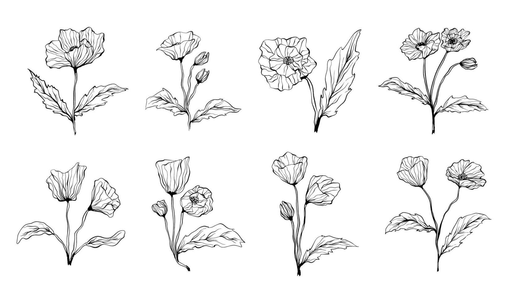 Collection of Hand Drawn Poppy Flowers Line Art Vector Graphics