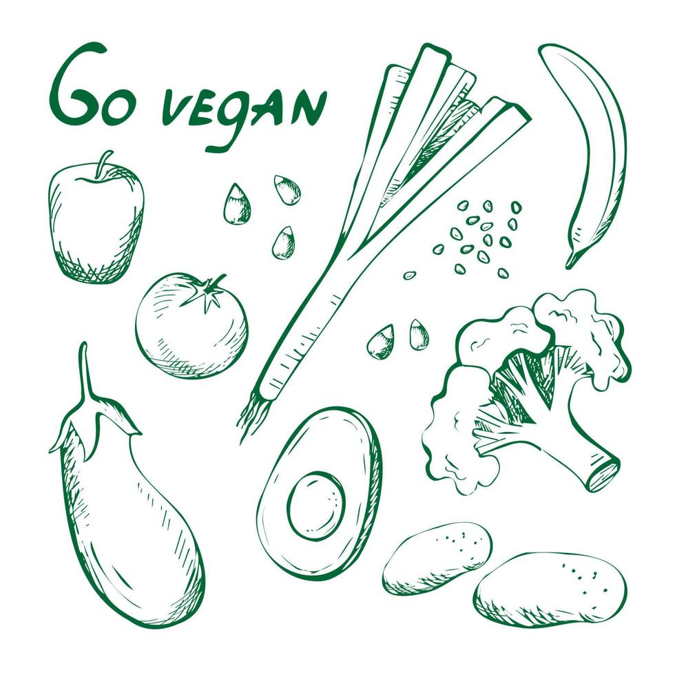 vamos vegano. garabato dibujado a mano. conjunto con verduras y frutas. dibujado brócoli, berenjena, manzana, plátano, tomate, nueces, aguacate, cebolla, patata. cartel vegetariano. para su diseño. vector