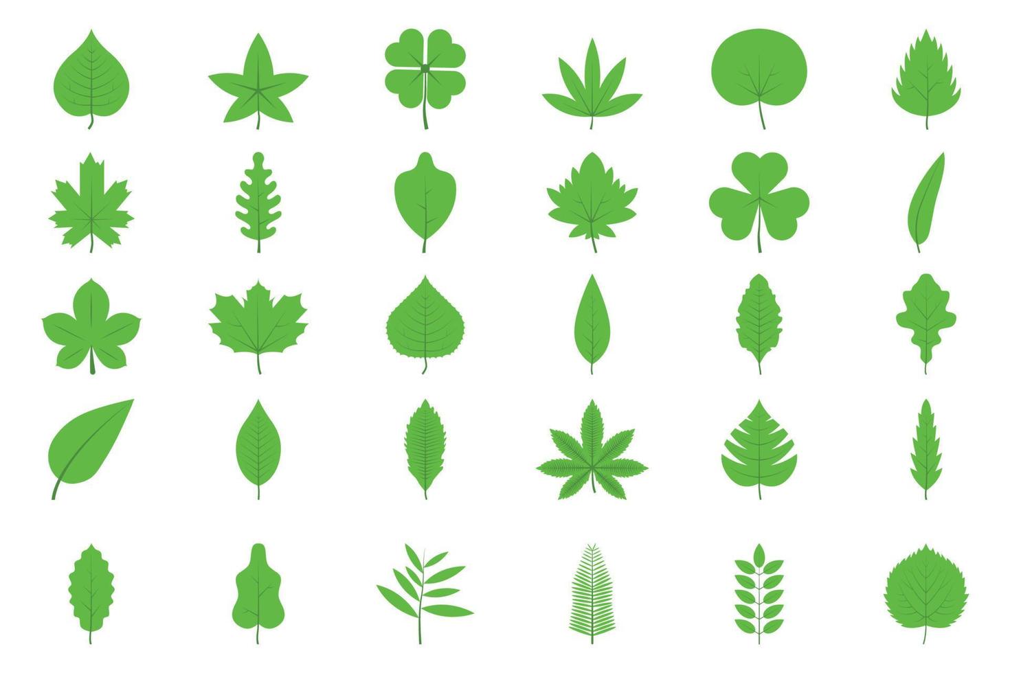 set of Green tree leaves. Leaves of oak , aspen, linden, maple, chestnut, clover, and plants. vector