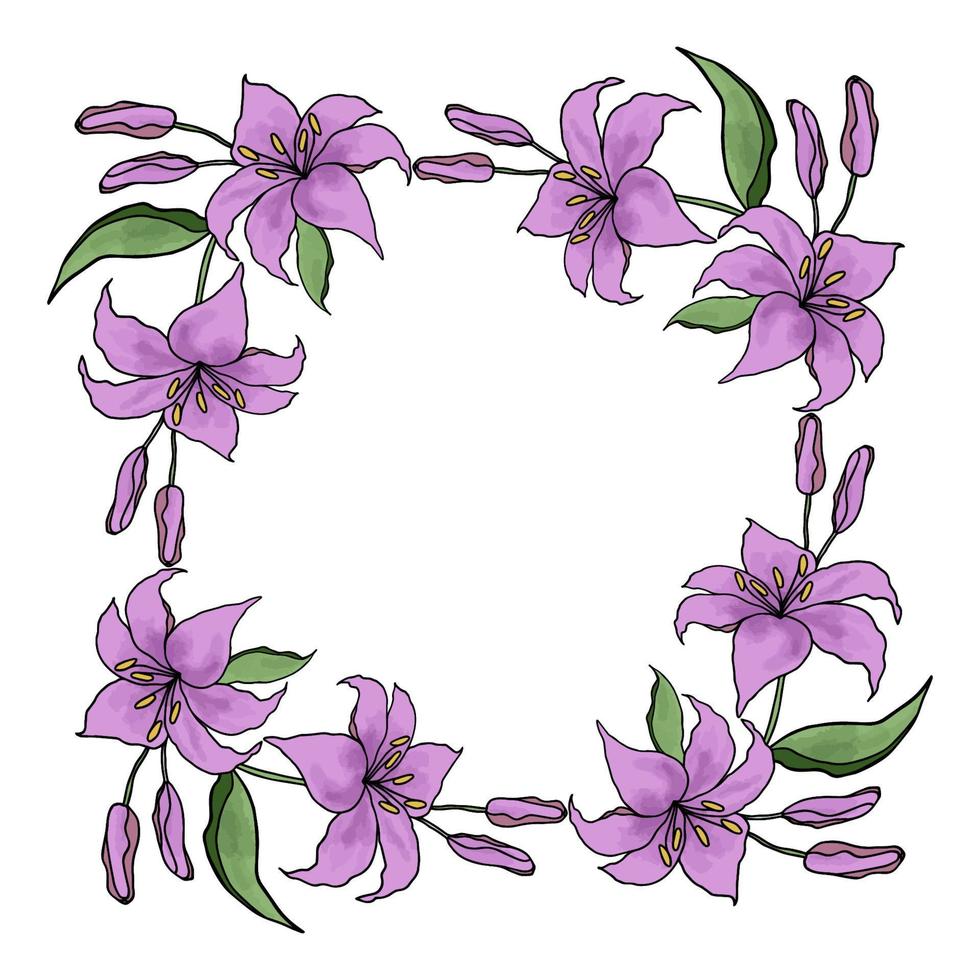 Lilly hand drawn flower vector