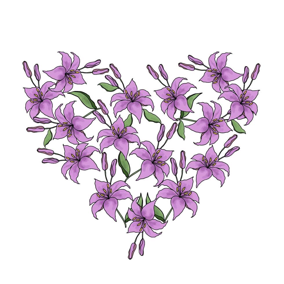 Lilly hand drawn flower vector