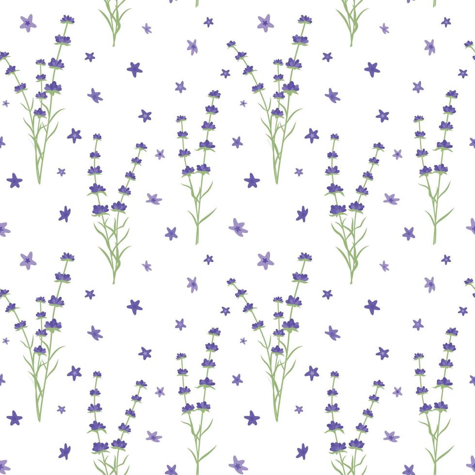 Beautiful Lavender Pattern on the white background. Vector seamless pattern with flowers. Lavender fabric design.