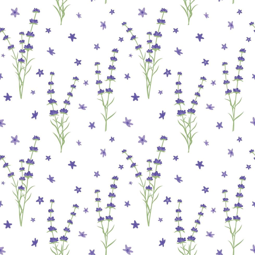 hermoso patrón de lavanda en el fondo blanco. patrón transparente de vector con flores. diseño de tela lavanda.