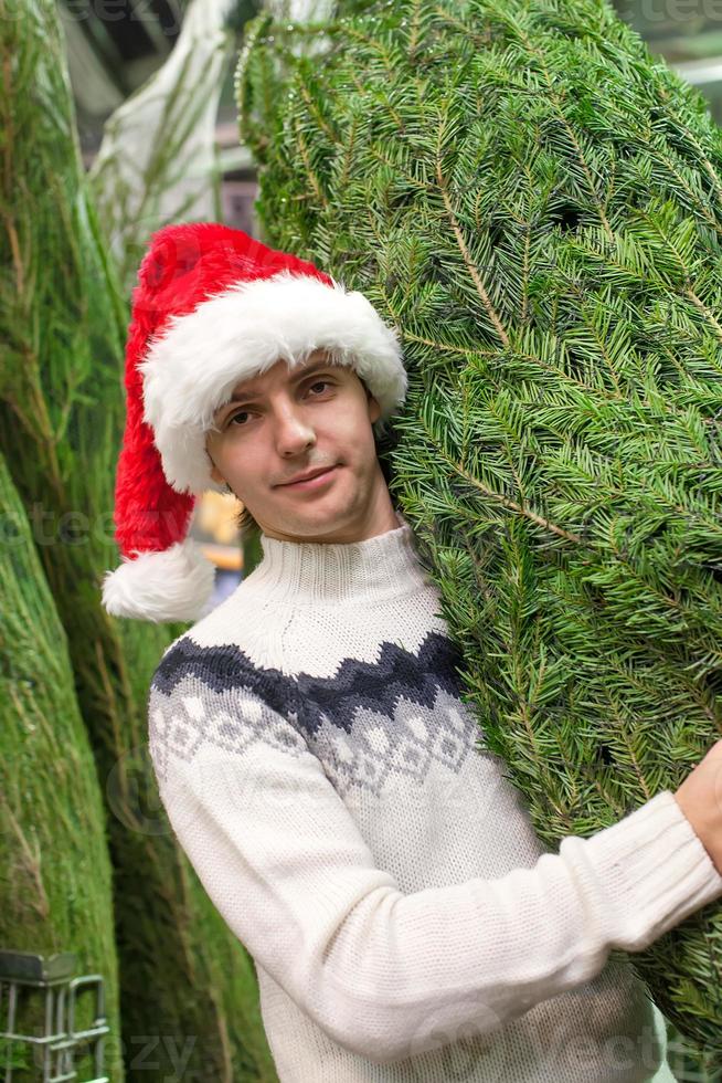 retrato, de, joven, en, santa sombrero, compra, árbol de navidad foto