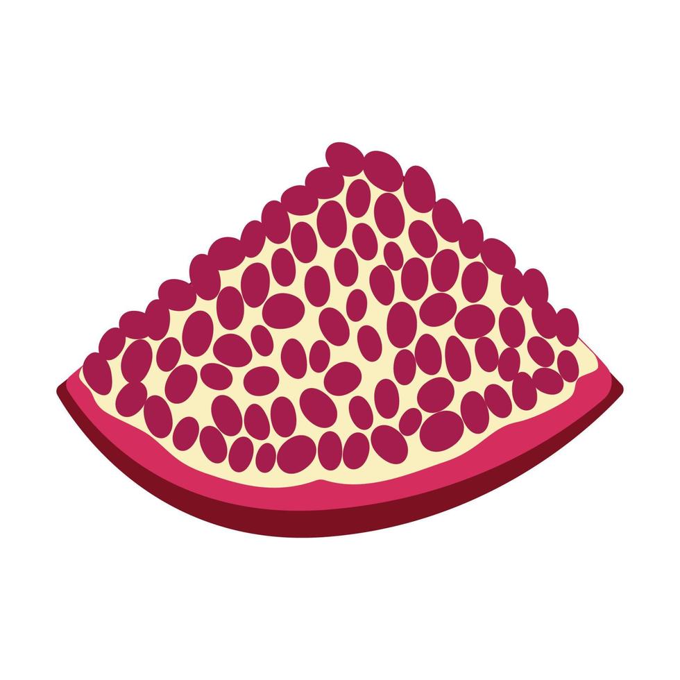 Pomegranate whole and pieces, cut with seeds. Stylized juicy fruit vector
