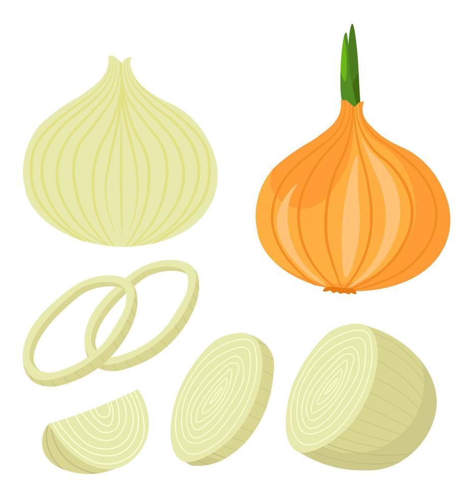 cebolla madura en rodajas, vector de platos de cocina