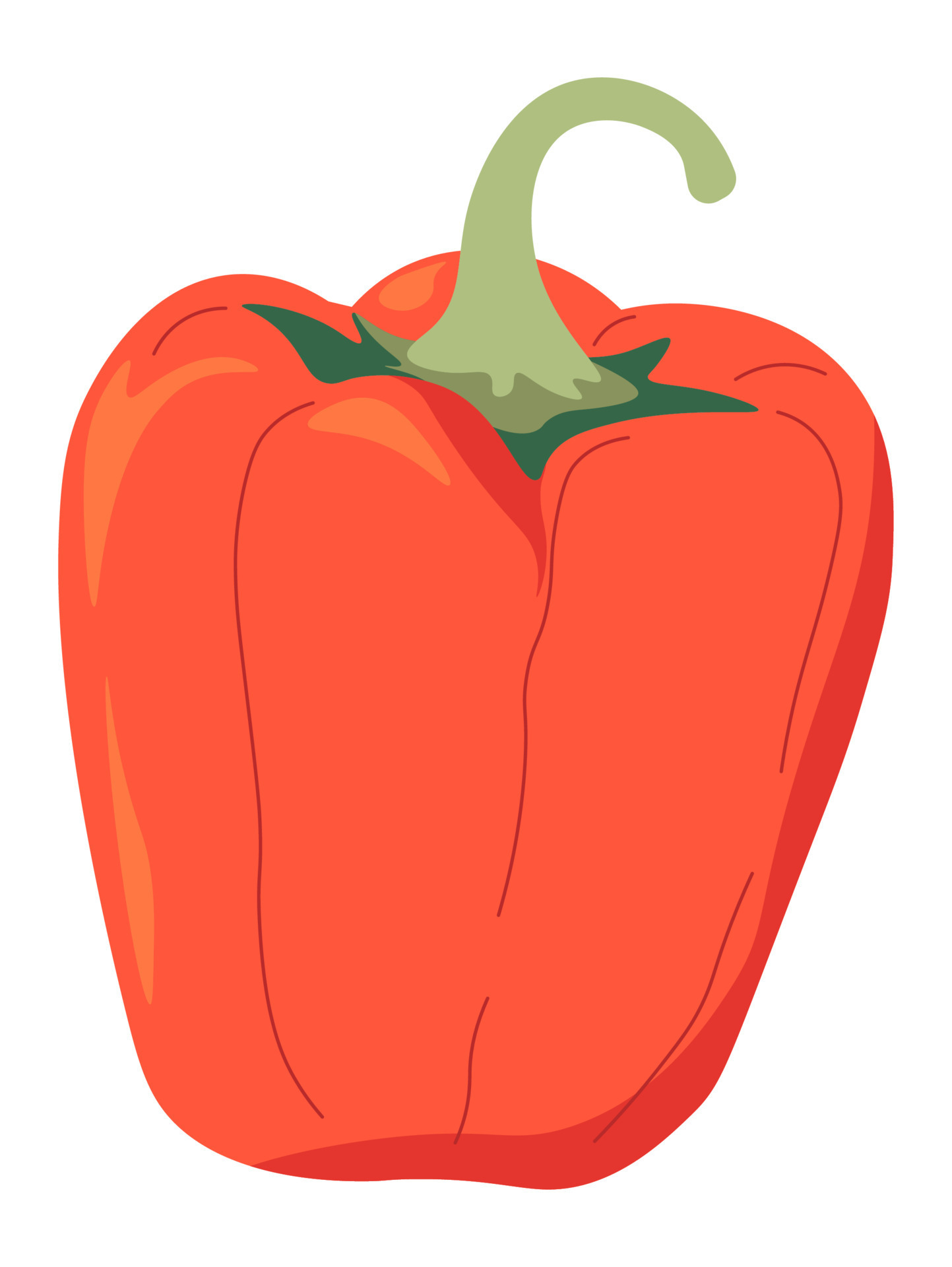 Red paprika, bell pepper organic product vector 17712498 Vector Art at