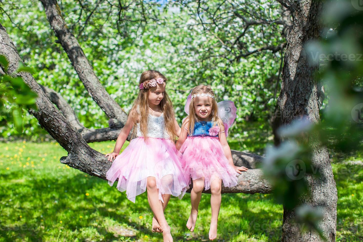 Little adorable girls sitting on blossoming tree in apple garden photo