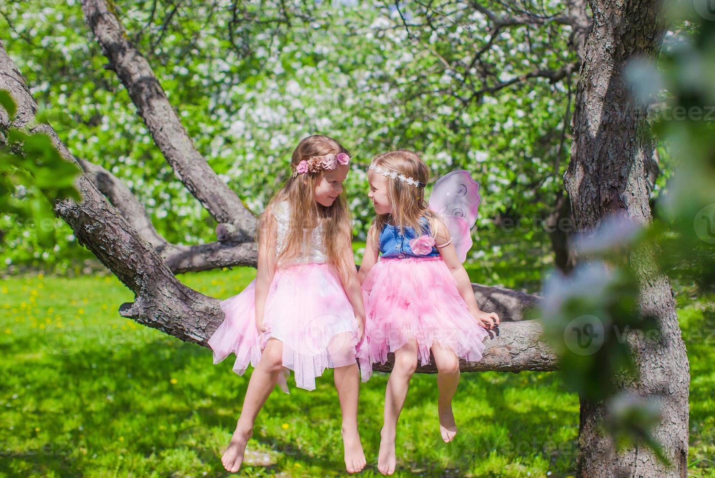 Little adorable girls sitting on blossoming tree in apple garden photo