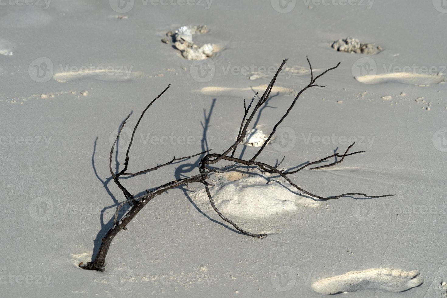 rubbish on tropical island paradise sandy beach photo