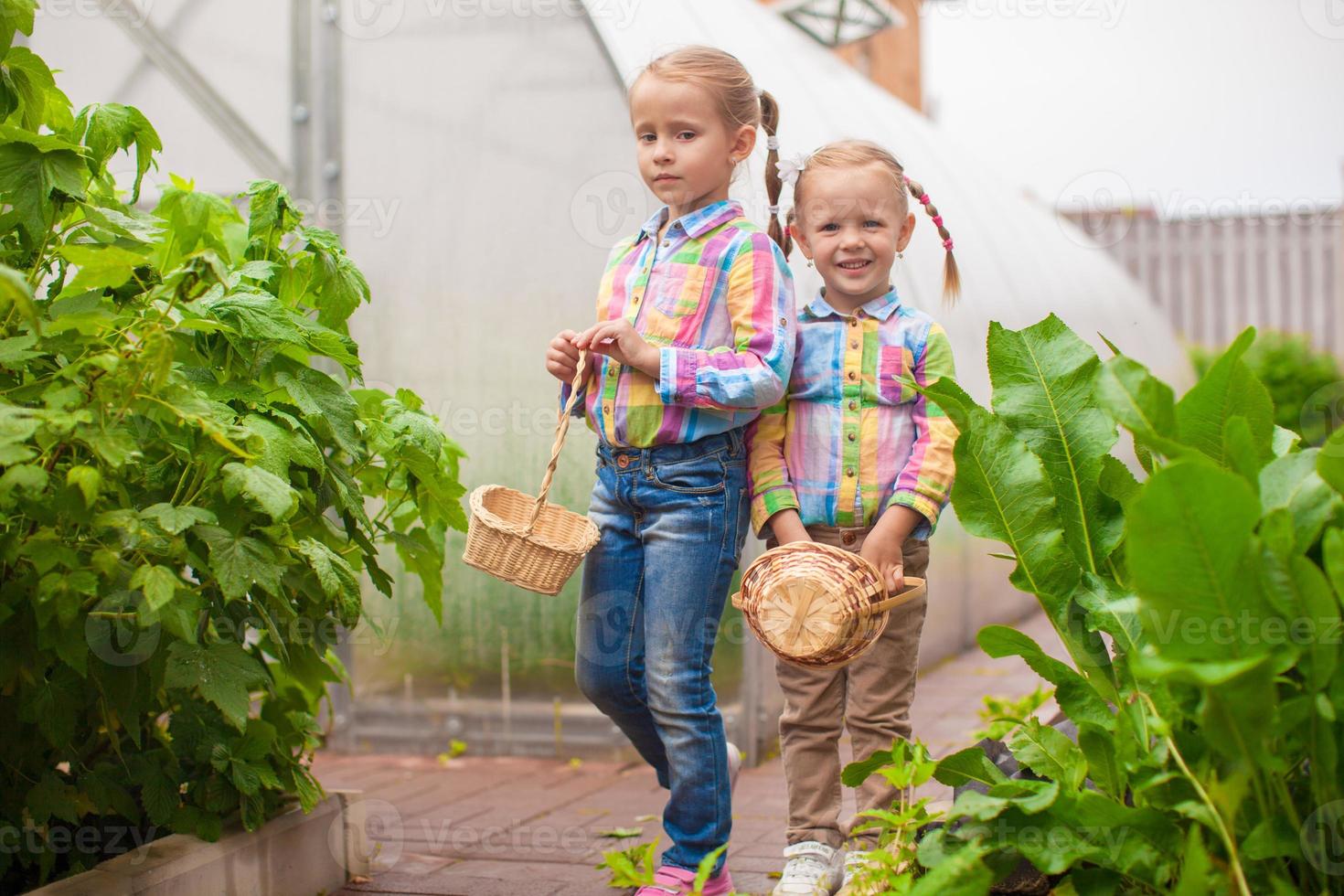 Little adorable girls with the basket of harvest near greenhouse photo