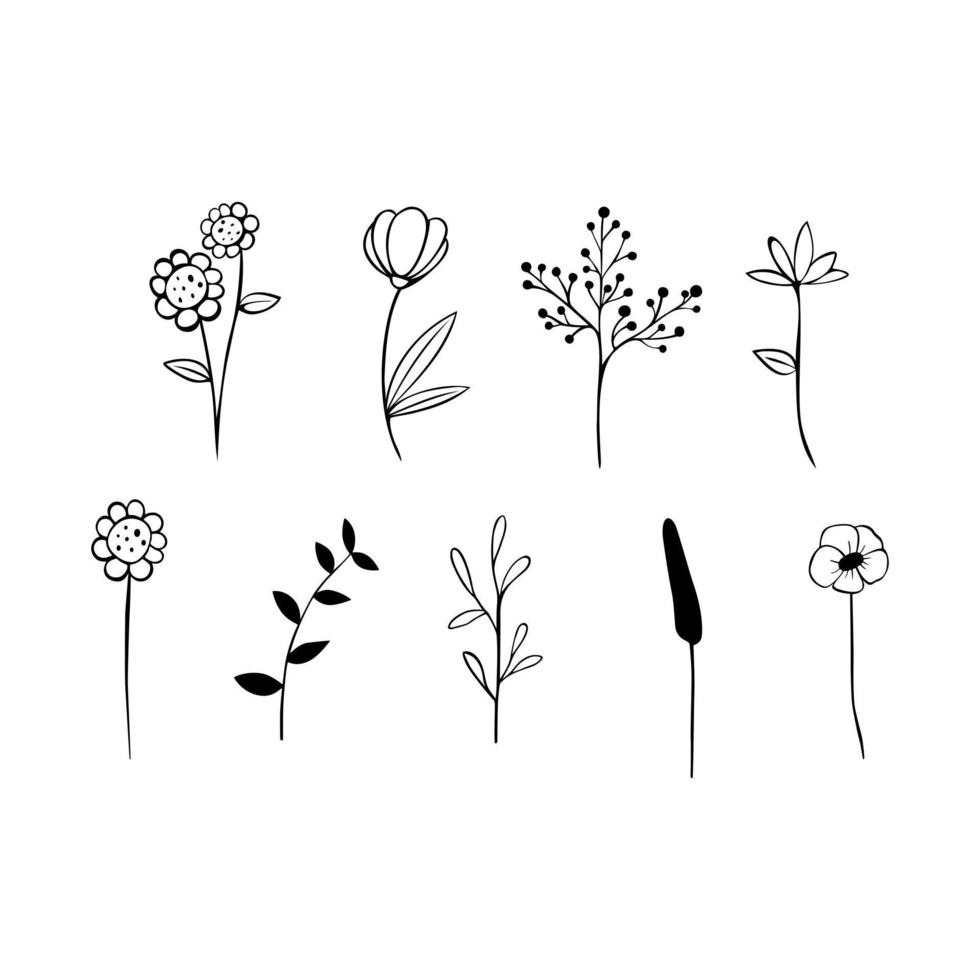 línea negra doodle flores de tallo largo sobre fondo blanco. ilustración vectorial sobre la naturaleza. vector