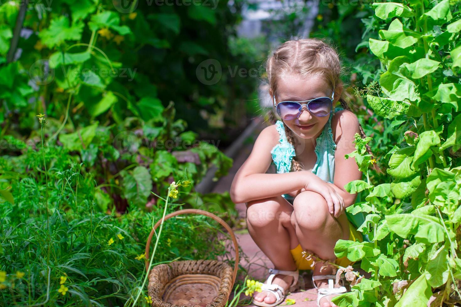 Cute little girl collects crop onions in the greenhouse photo