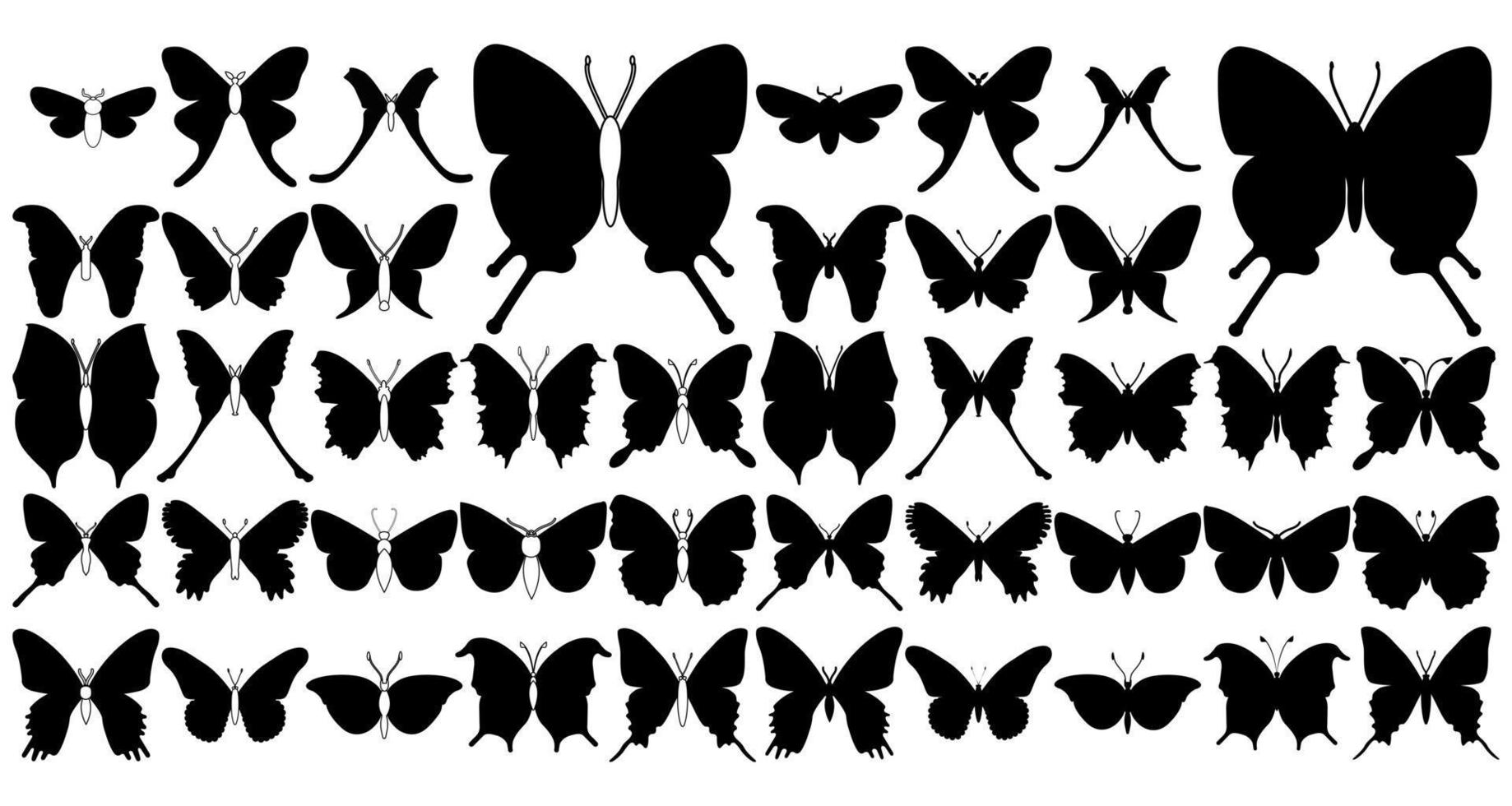 Big set butterflies on a white background, drawing decorative insect, silhouettes hand draw, isolated vector