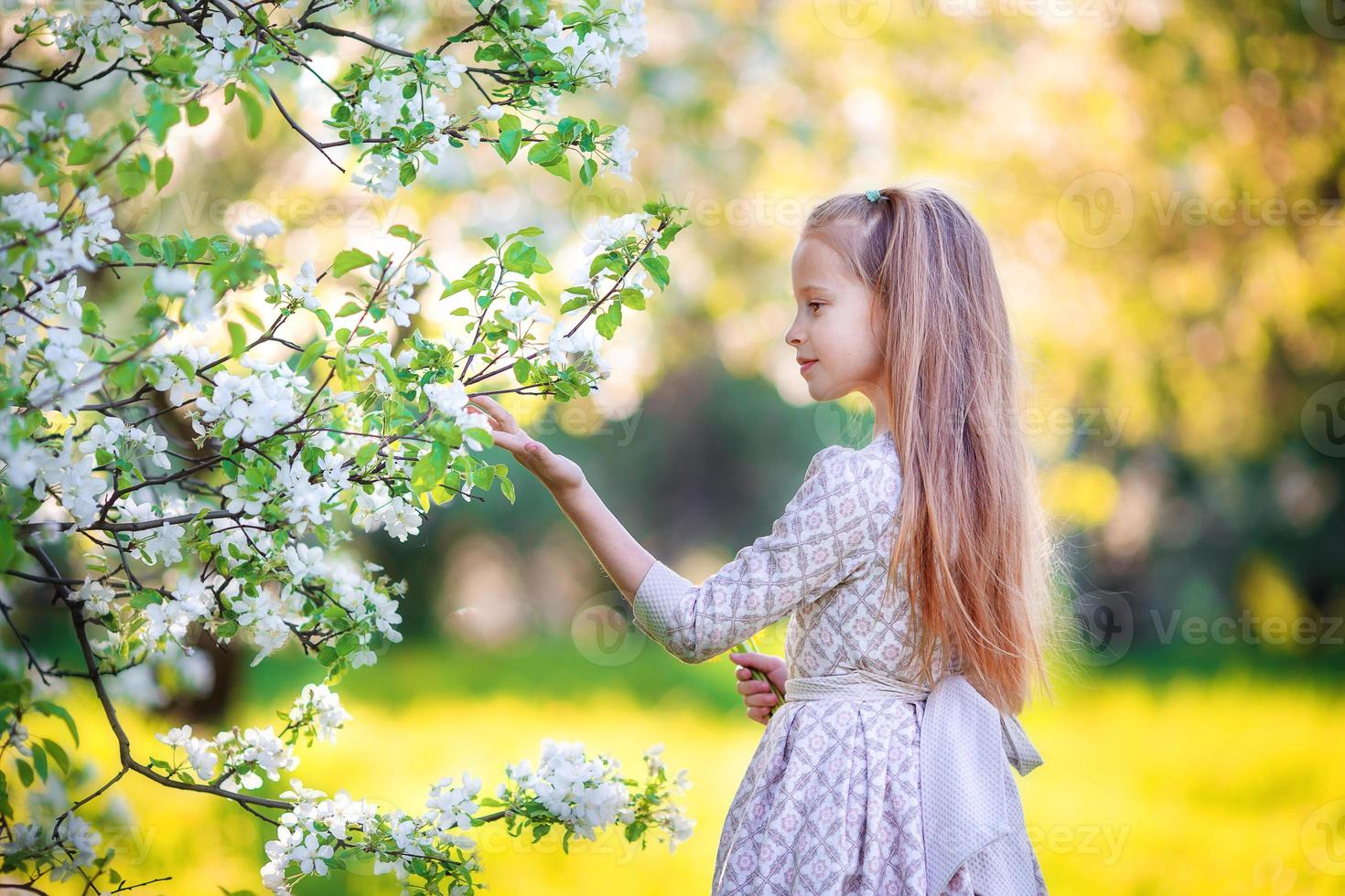 Adorable little girl in blooming apple tree garden on spring day photo