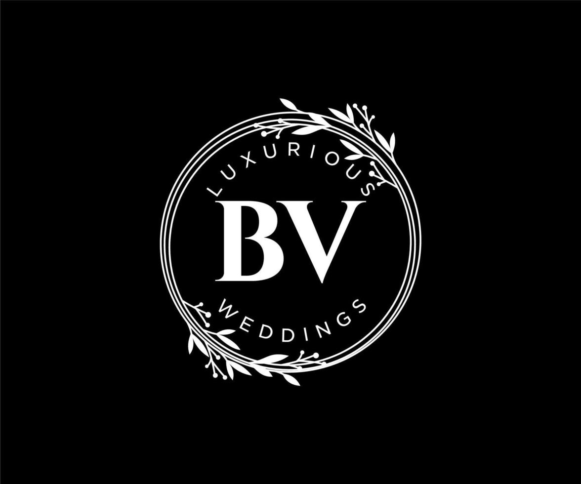 BV Initials letter Wedding monogram logos template, hand drawn modern minimalistic and floral templates for Invitation cards, Save the Date, elegant identity. vector