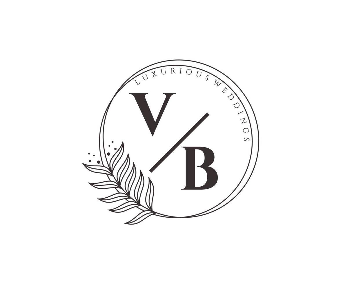 plantilla de logotipos de monograma de boda con letras iniciales vb, plantillas florales y minimalistas modernas dibujadas a mano para tarjetas de invitación, guardar la fecha, identidad elegante. vector