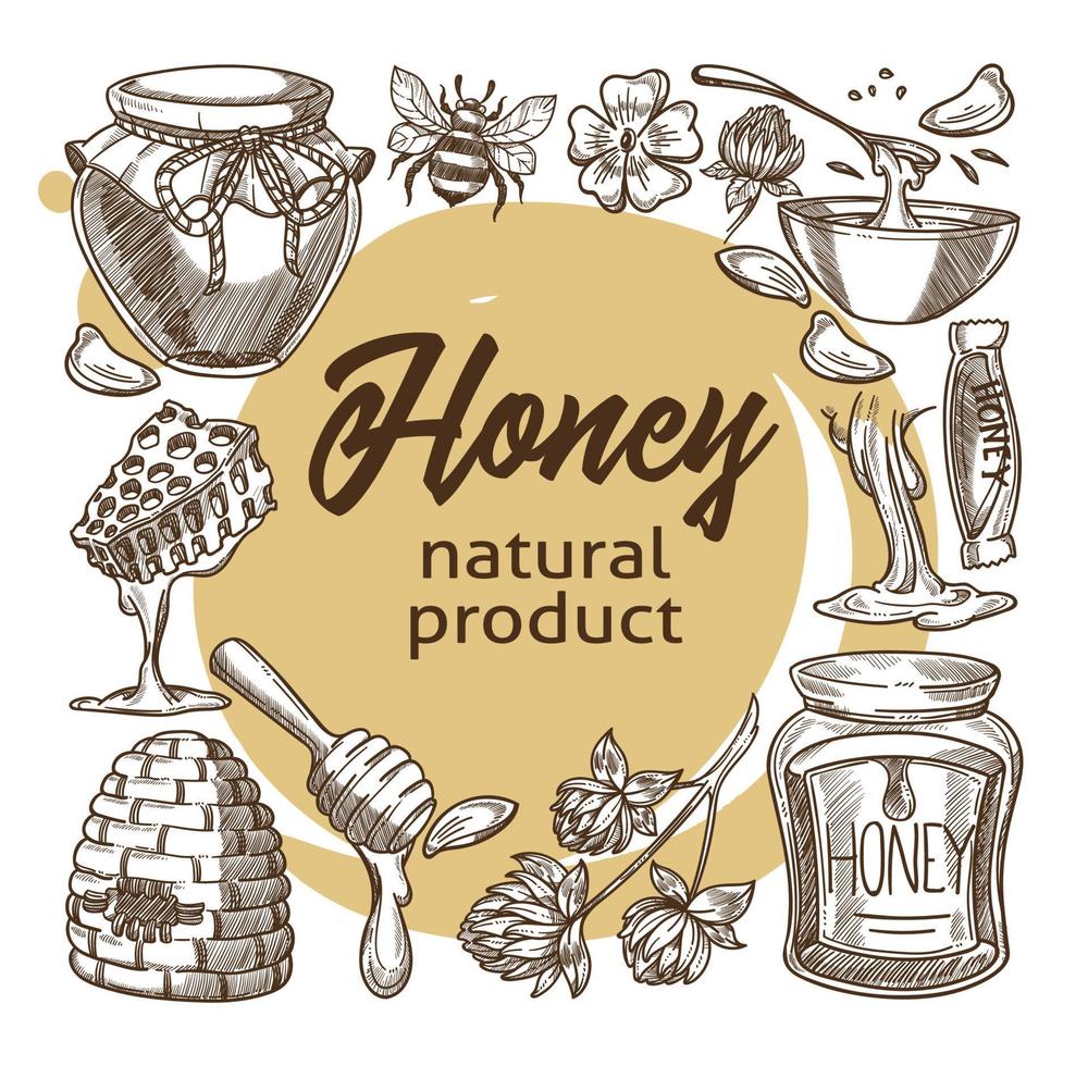 producto natural de miel, abejas y líquido azucarado vector