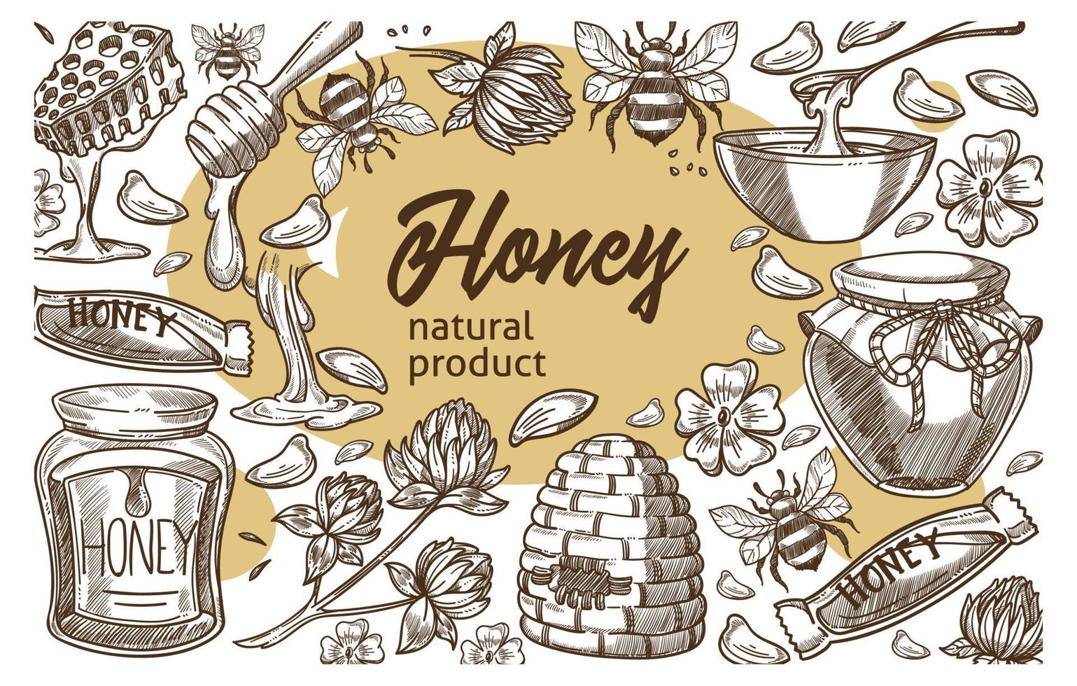 productos naturales de miel, cocina con ingredientes orgánicos vector