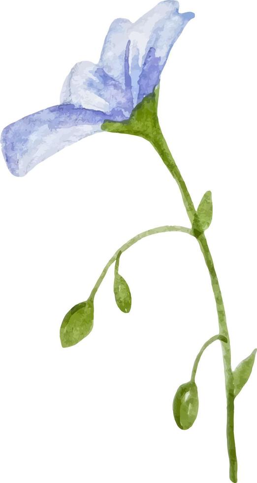 flor de pradera de lino azul aislada en ilustración de acuarela blanca vector