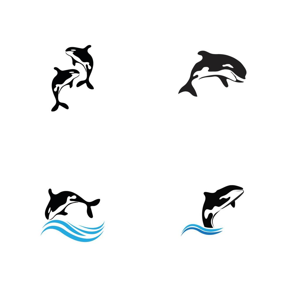 Orca Logo Vector Illustration On Trendy Design.