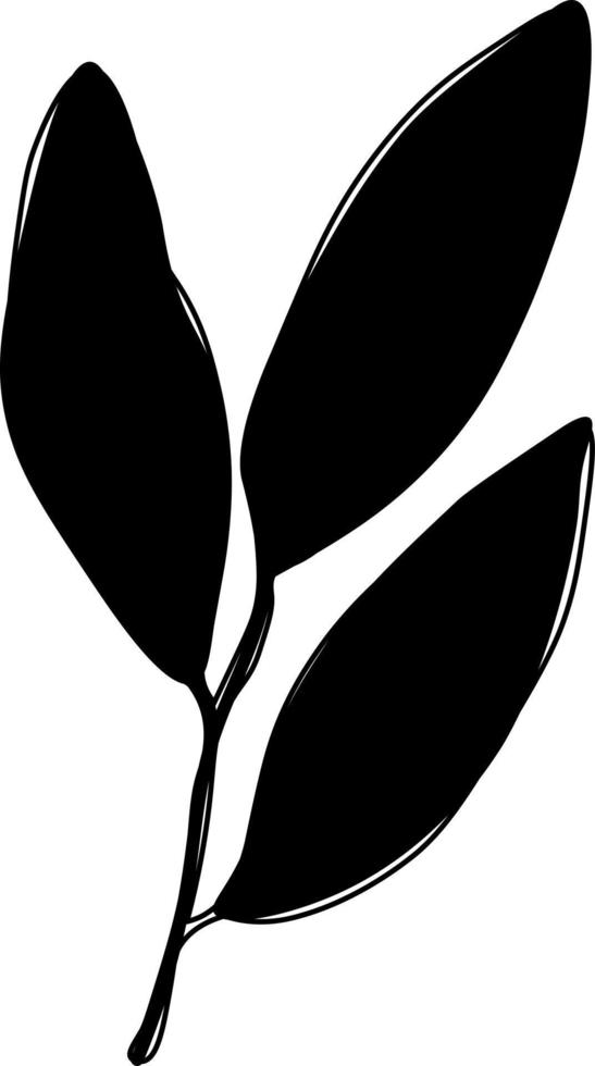 Green lemon leaves. Leaf, clipping path, isolated on white background. Yellow. Citrus. Minimalist doodle style. Black line. Vector illustration.