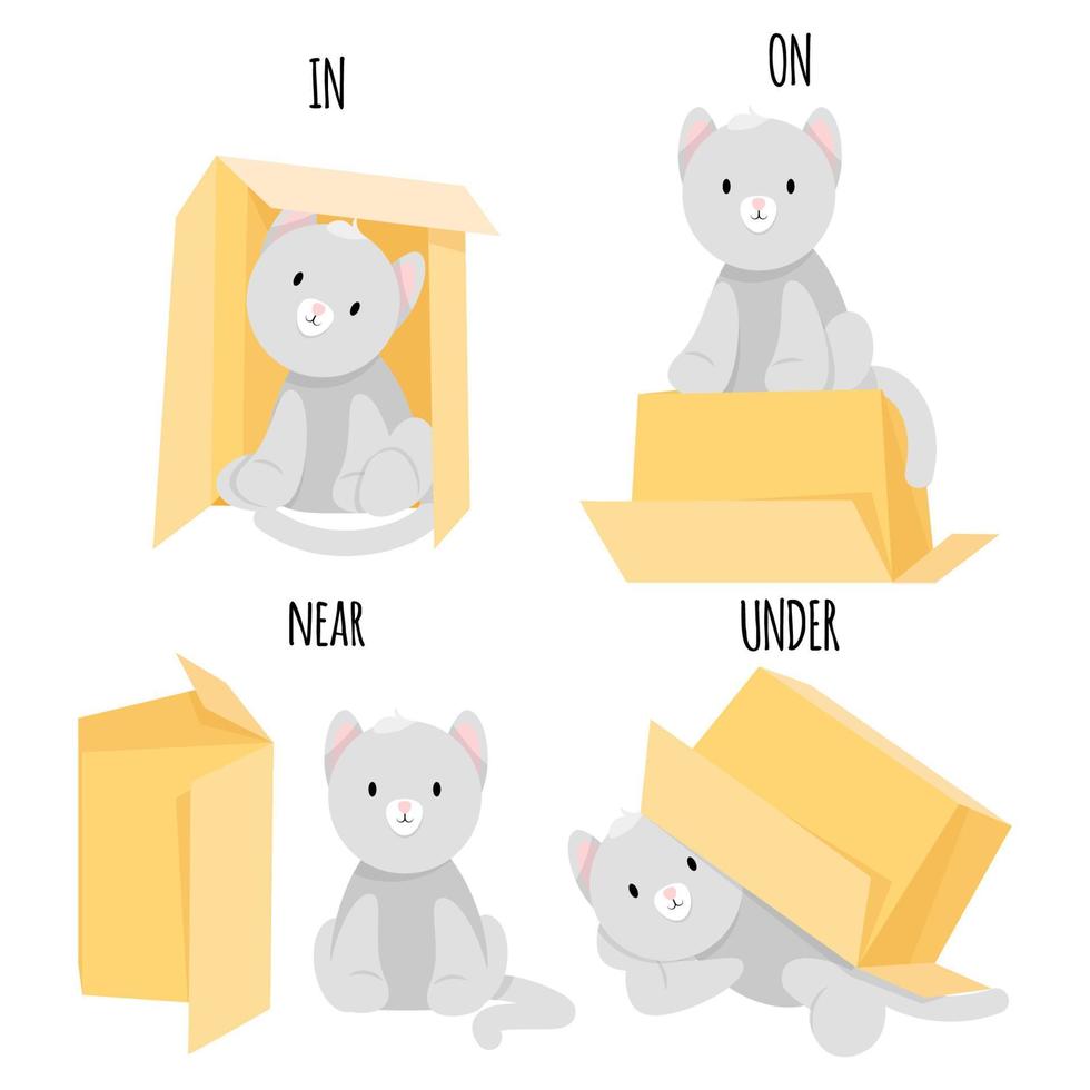 Cute gray cat sits on, under, near and in a cardboard box vector