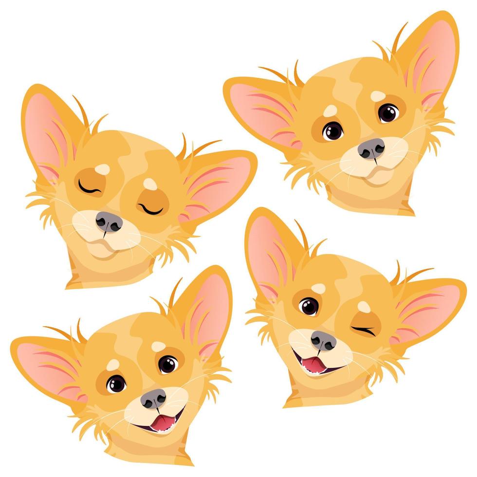 cuatro cabezas diferentes de un perro chihuahua marrón vector