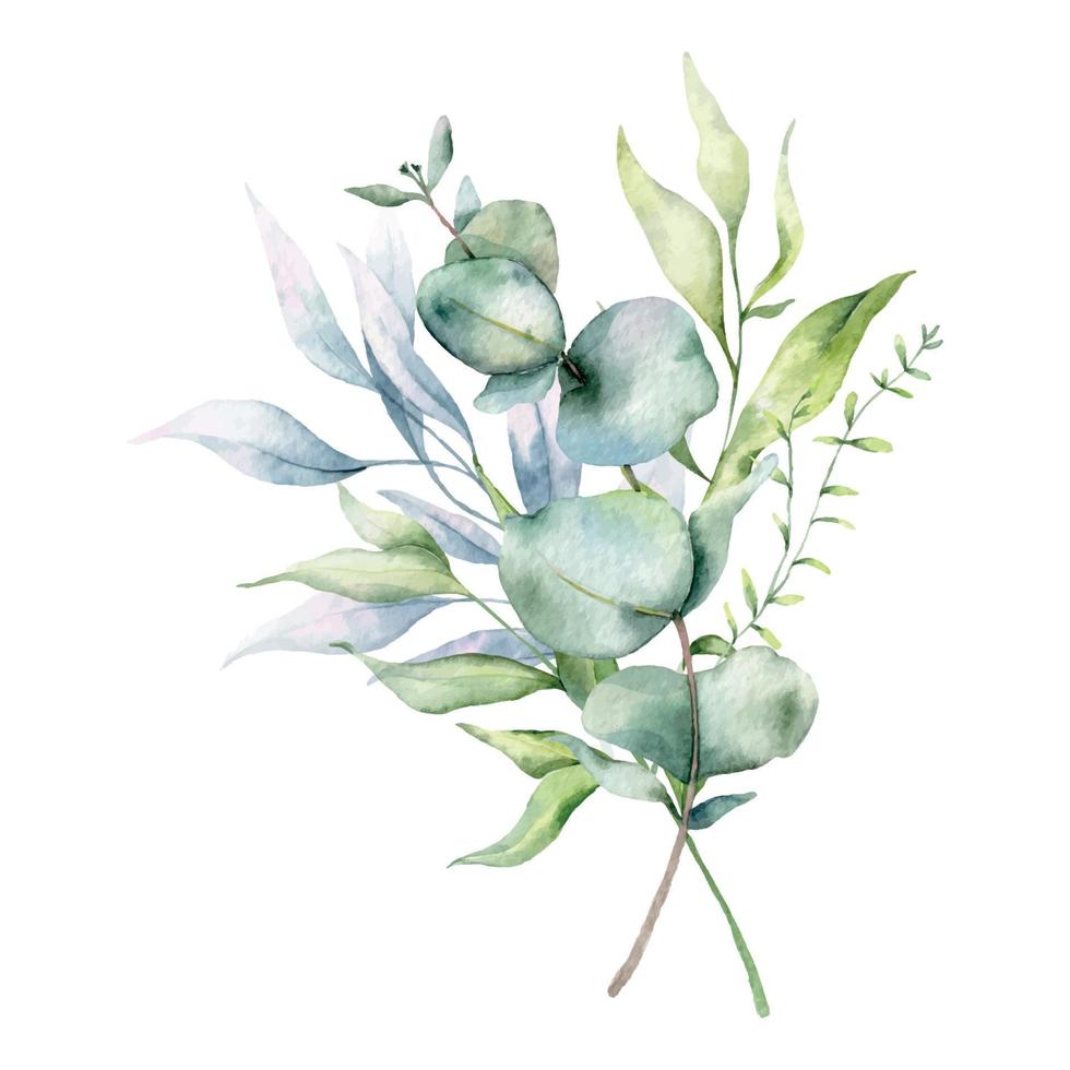 Eucalyptus Bouquet Watercolor, Floral Bouquet, Greenery Arrangement, Floral Arrangement, Green Leaves Composition vector