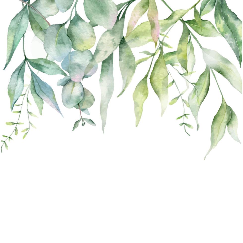 marco de eucalipto acuarela, marco floral, marco verde, arreglo floral, composición de hojas verdes vector
